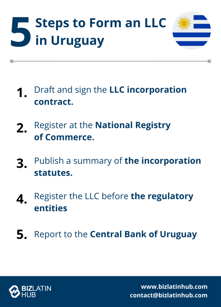 A graphic titled "5 Steps to Form an LLC in Uruguay" features a list with the following steps: 1. Draft and sign the LLC incorporation contract. 2. Register at the National Registry of Commerce. 3. Publish a summary of the incorporation statutes. 4. Register the LLC before regulatory entities. 5. Report to the Central Bank of Uruguay. The BizLatin Hub logo