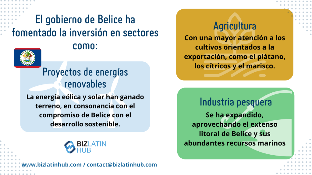 Gráfico informativo sobre los sectores de inversión de Belice. Destaca las estrategias fiscales de Belice en agricultura, proyectos de energías renovables y la industria pesquera. Incluye la bandera de Belice y el logotipo de Biz Latin Hub. Información de contacto en la parte inferior: contact@bizlatinhub.com.