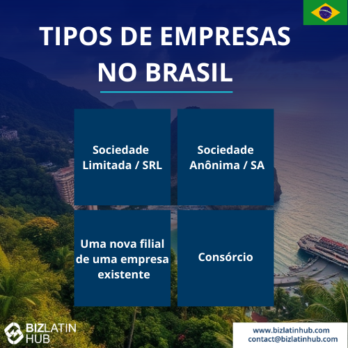 O infográfico intitulado "Tipos de empresas no Brasil" explora quatro opções: Empresa de Responsabilidade Limitada, Sociedade Anônima, uma nova filial de uma empresa existente e Consórcio. Em uma paisagem brasileira com uma bandeira, o design destaca sutilmente o papel da matéria-prima no setor brasileiro de biocombustíveis.